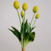 Tulpen · Buttercup Yellow