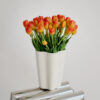 Tulpen · Sunset Gradient