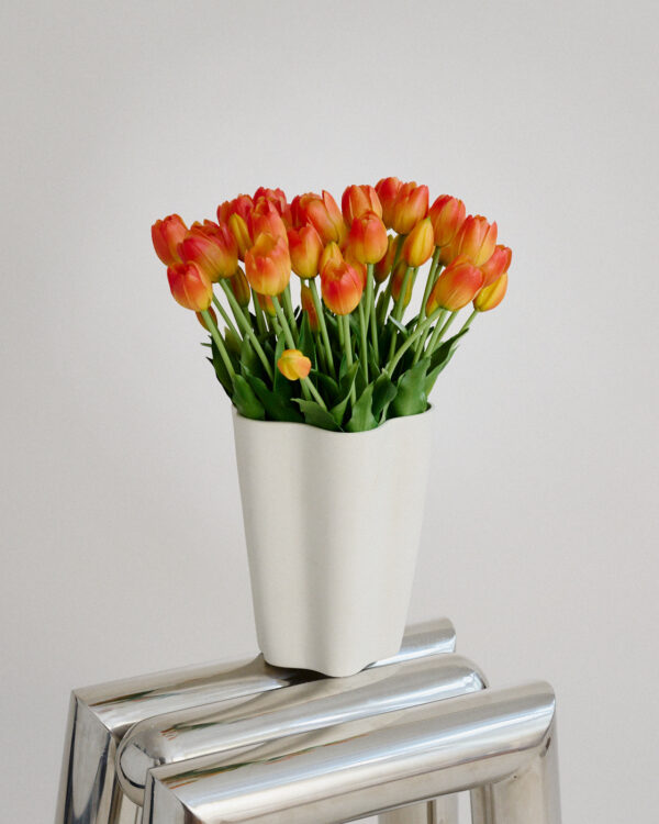 Tulpen · Sunset Gradient