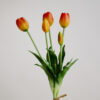 Tulpen · Sunset Gradient