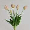 Tulpe, cream blush, real touch, 5 Stiele