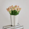 Tulpen · Cream Blush