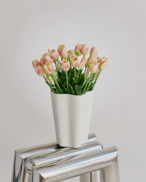 Tulpen · Cream Blush