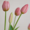 Tulpen · Rose Clay · Real Touch