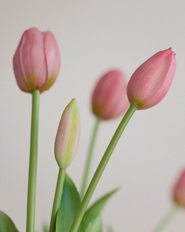 Tulpen · Rose Clay · Real Touch