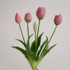 Tulpen, rose clay, real touch, 5 Stiele
