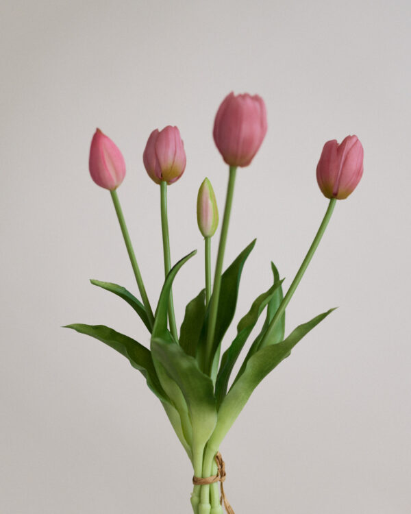 Tulpen, rose clay, real touch, 5 Stiele