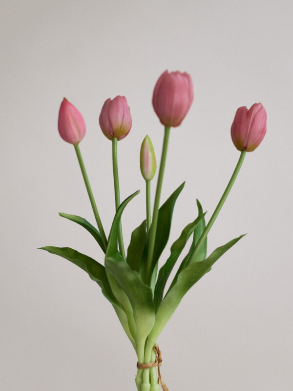 Tulpen, rose clay, real touch, 5 Stiele
