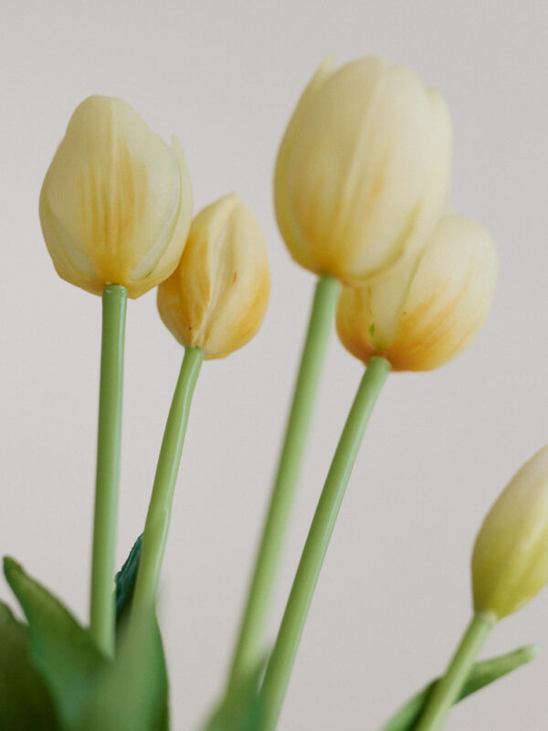 Tulpe, soft butter, real touch, 5 Stiele