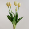 Tulpen · Soft Butter · Real Touch
