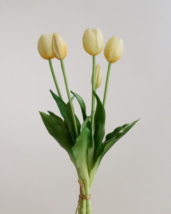 Tulpen · Soft Butter · Real Touch