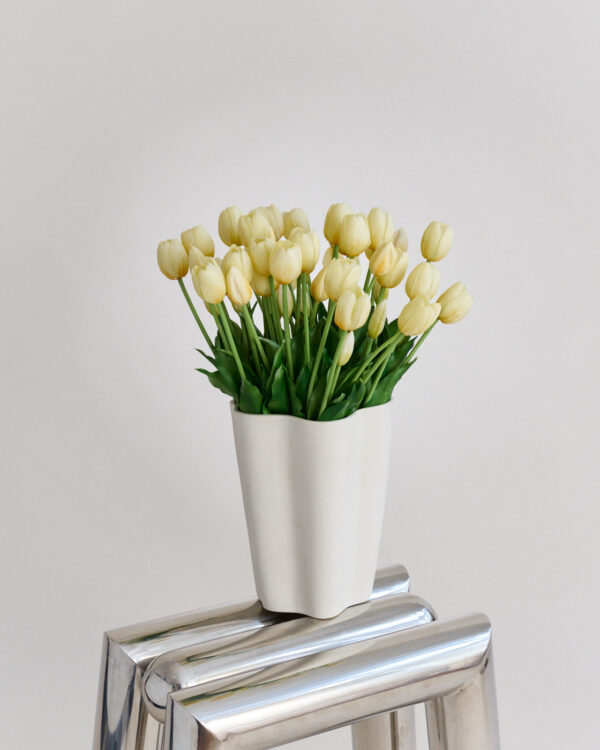 Tulpen · Soft Butter · Real Touch