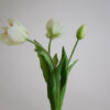 Tulpe · Botanic White · Real Touch