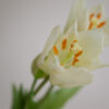 Tulpe · Botanic White · Real Touch