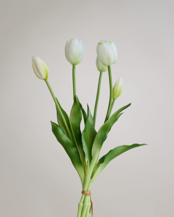 Tulpe, botanic white, real touch, 5 Stiele