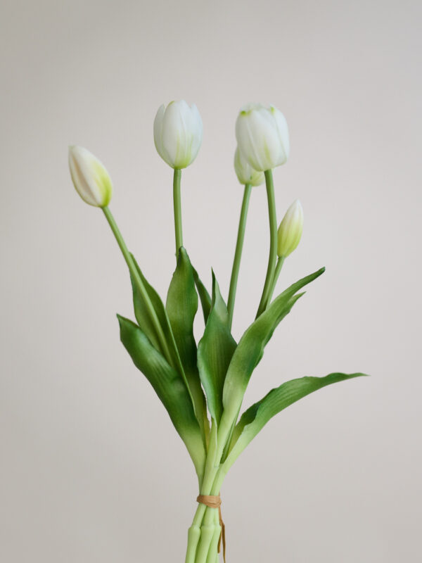 Tulpe, botanic white, real touch, 5 Stiele