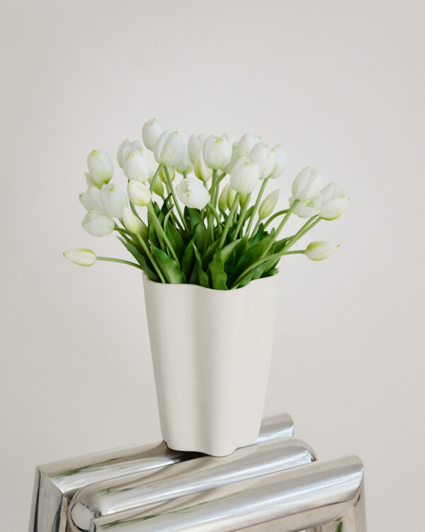 Tulpen · Botanic White