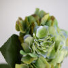 Hortensie · Fall Green · Real Touch