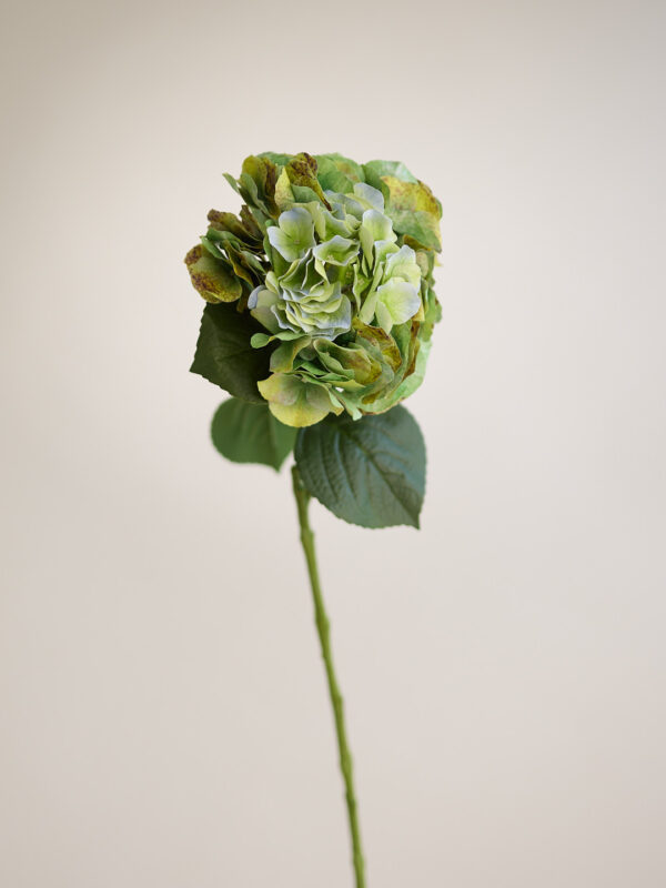 Hortensie · Fall Green · Real Touch