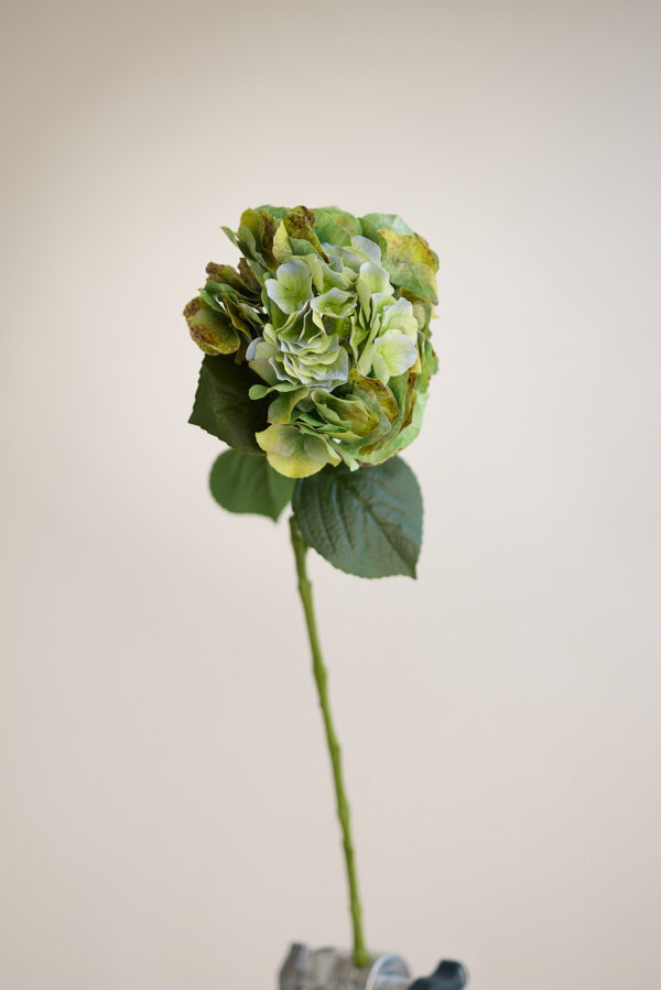 Hortensie · Fall Green · Real Touch