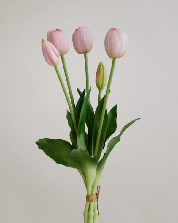 Tulpe, milky pink, real touch, 5 Stiele