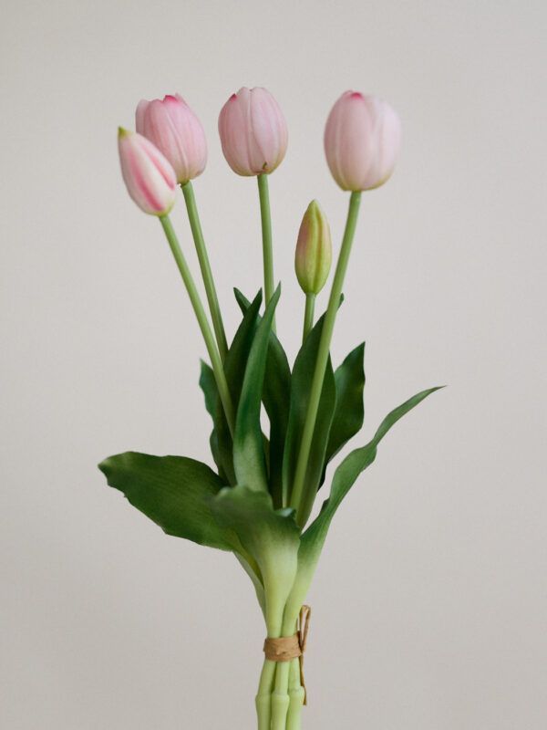 Tulpe, milky pink, real touch, 5 Stiele