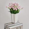 Tulpen · Milky Pink