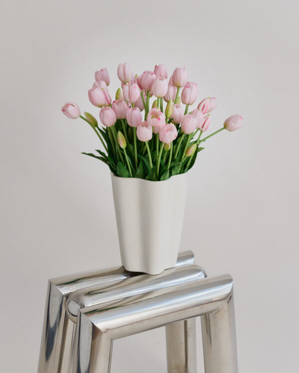 Tulpen · Milky Pink