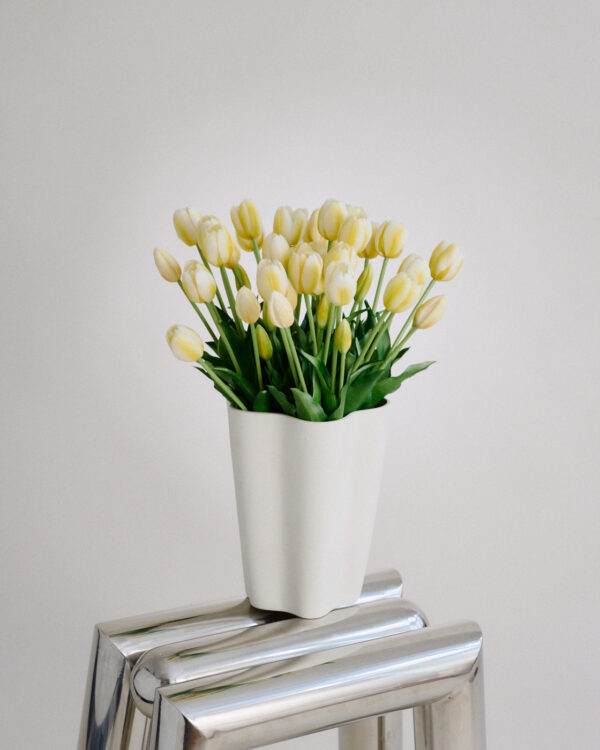 Tulpe, milky lemon, real touch, 5 Stiele
