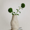 Grün und Struktur · Dianthus "Grass Ball" · Light Green