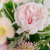 Bouquet · No. 01 · Soft green / Blush