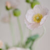 Bouquet · No. 01 · Soft green / Blush