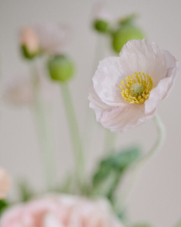 Bouquet · No. 01 · Soft green / Blush