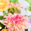 Bouquet · No. 04 · Chroma