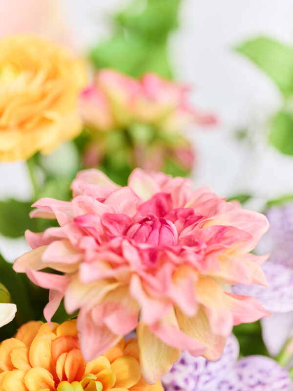 Bouquet · No. 04 · Chroma