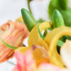 Bouquet · No. 04 · Chroma