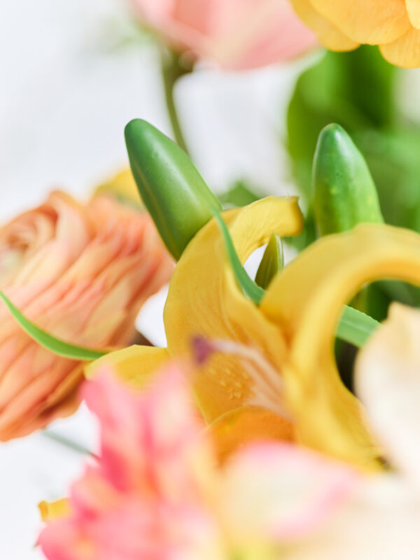 Bouquet · No. 04 · Chroma