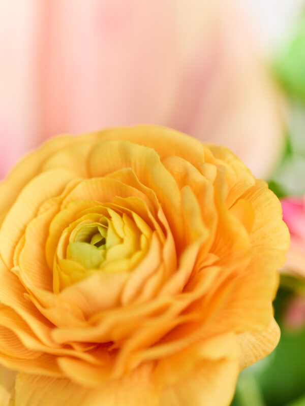 Bouquet · No. 04 · Chroma